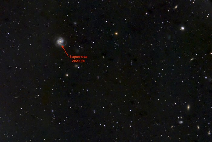 Supernova sn2020jfo in M61
