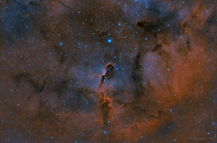 Elephant Trunk Nebula IC 1396