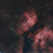 IC 1318 Gamma Cygni Nebula