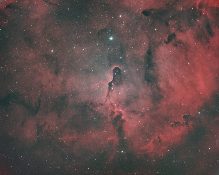IC 1396 Elephant Trunk Nebula