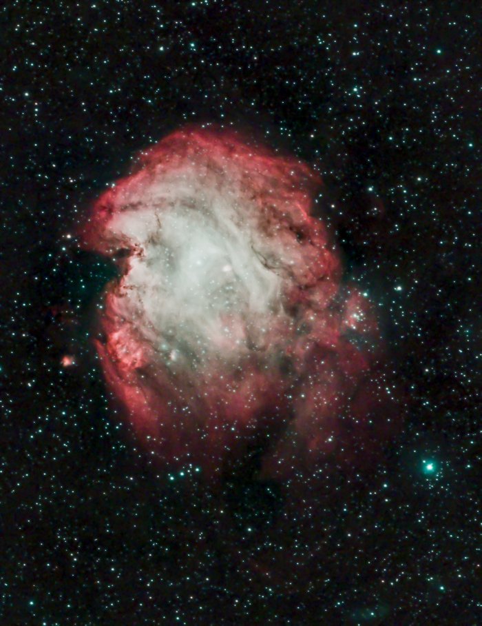 Reprocessed Monkey Head Nebula