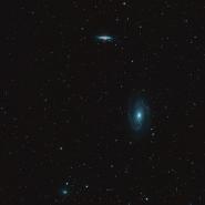 M81, M82 and NGC 3077 