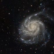M101 Pinwheel Galaxy Cropped